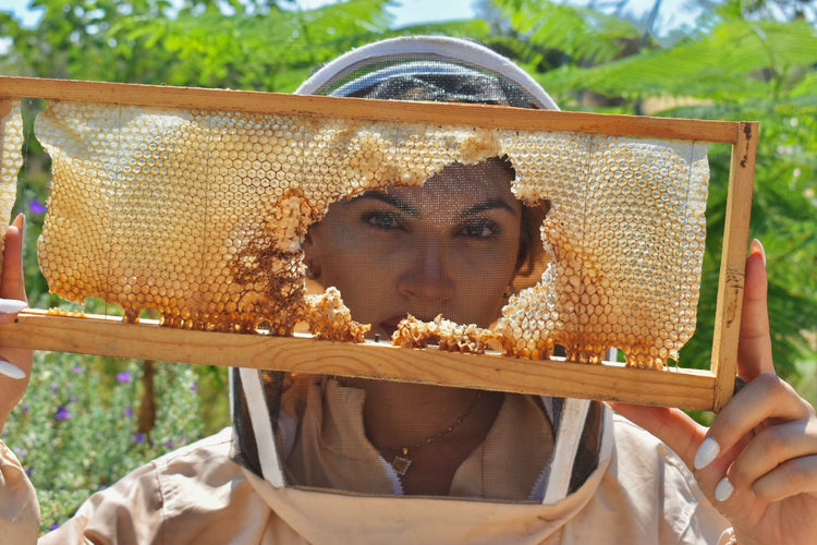 Where Nature, Bees & Beauty Come Together